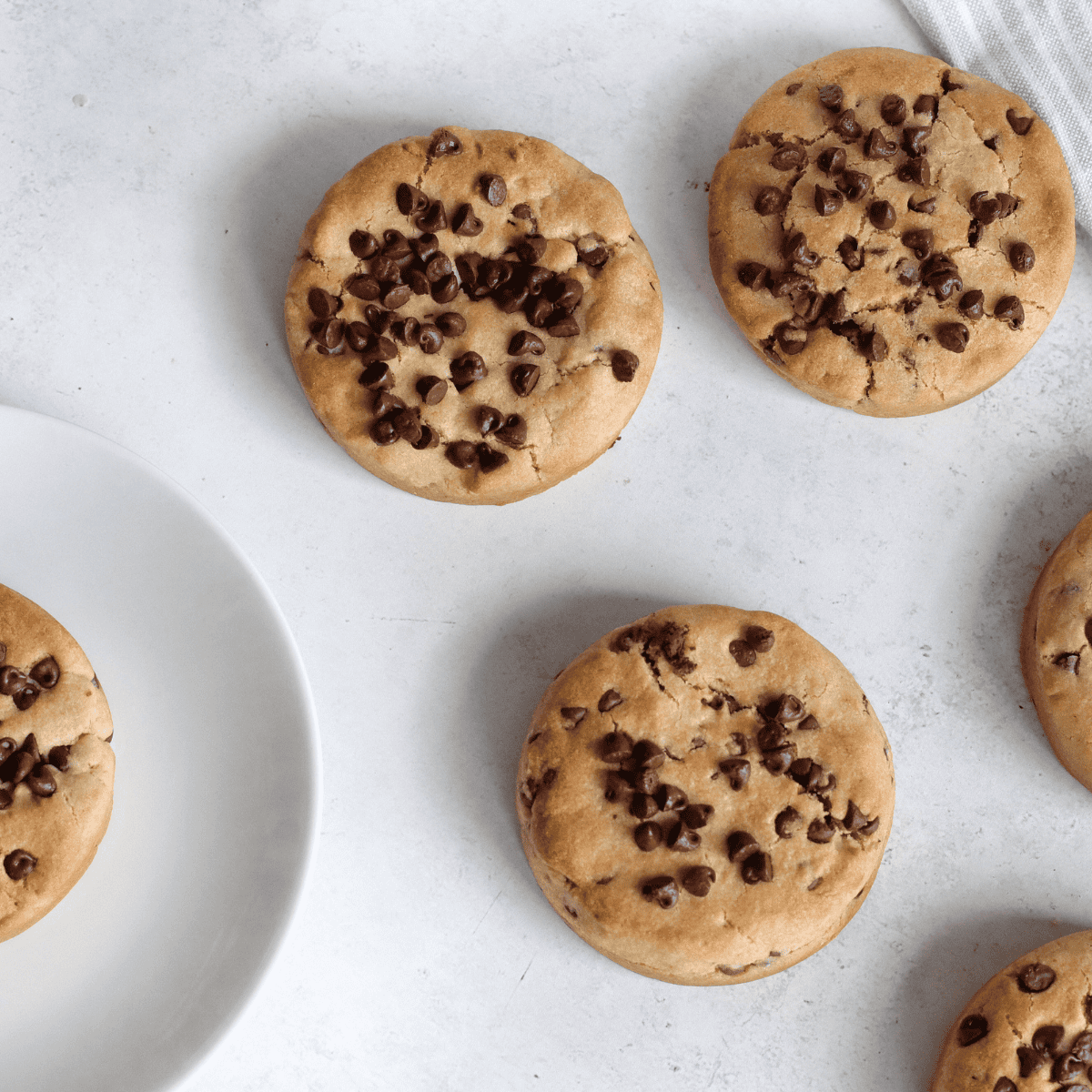 Golden-brown oatmeal cookies with melty chocolate chips fresh from the air fryer.