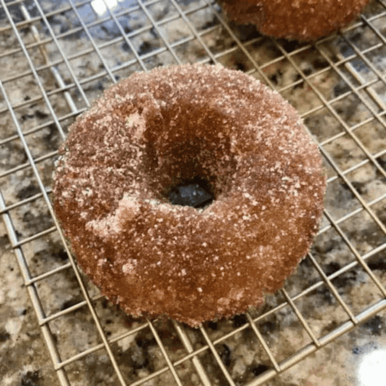 Plate of homemade Dunkin’ Donuts style cinnamon sugar donuts, golden and fluffy.