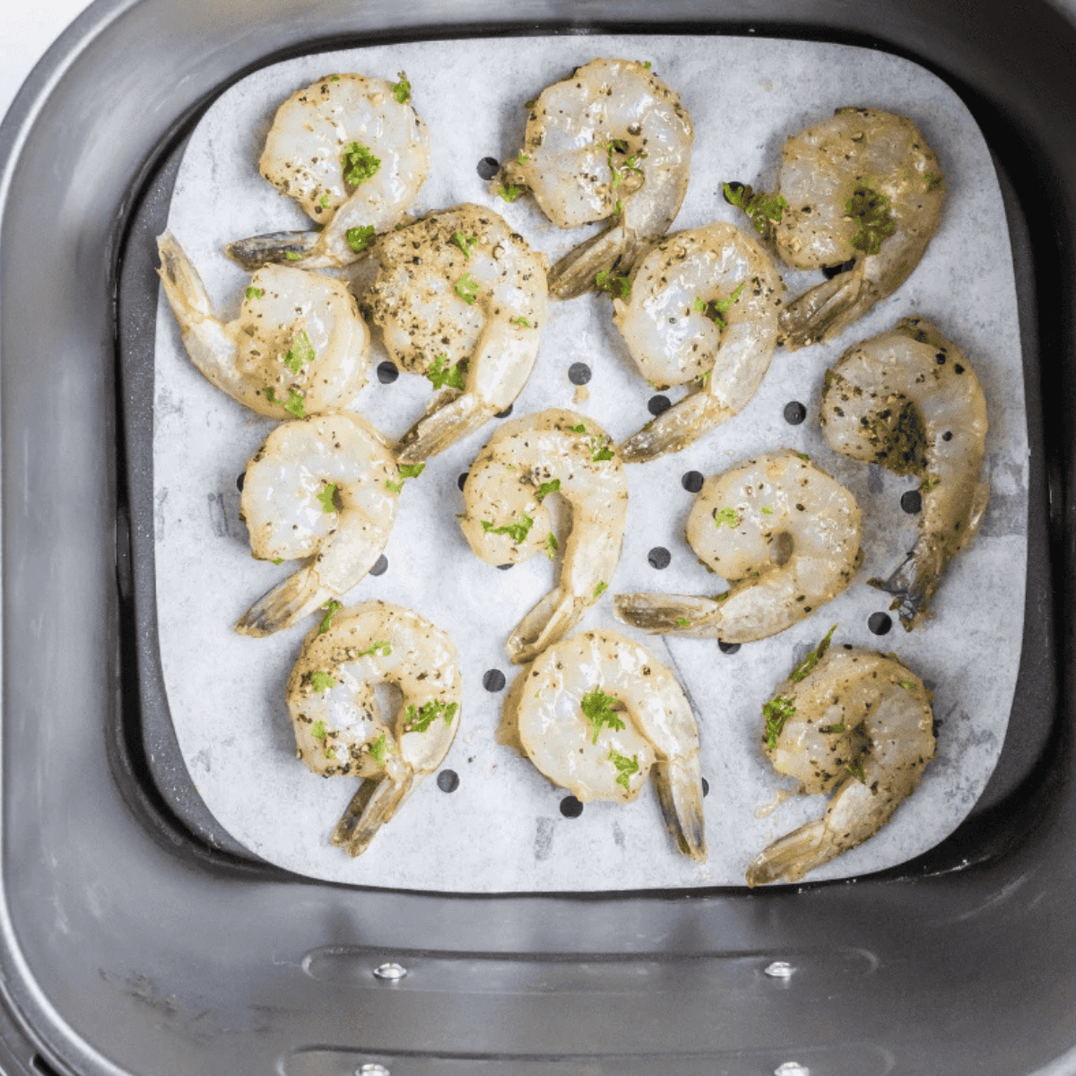 Shrimp arranged in a single layer in the air fryer basket before cooking