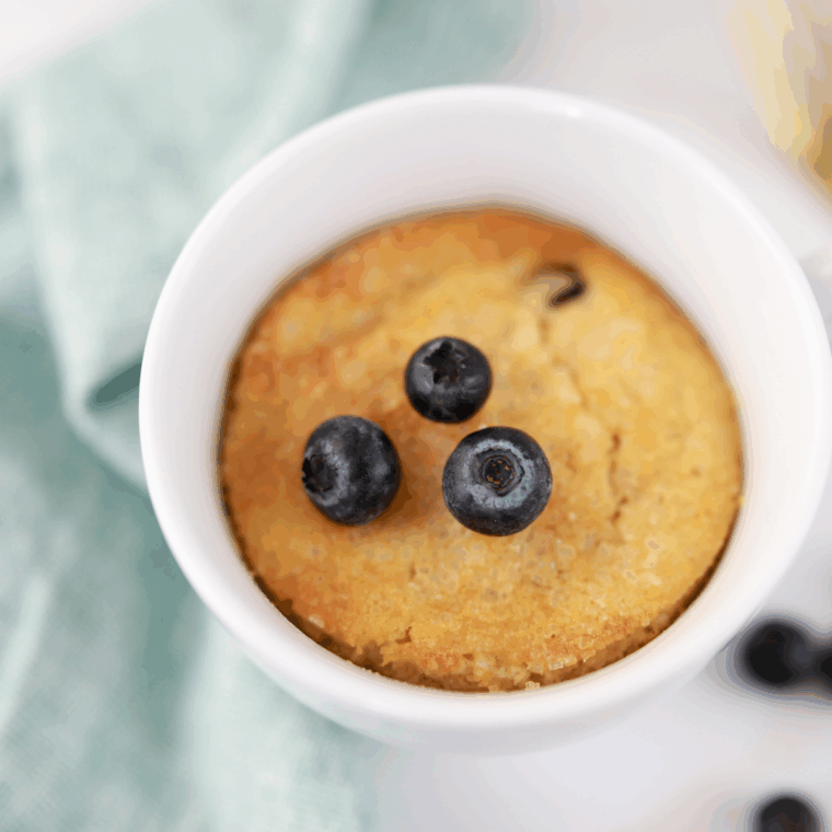Air fryer blueberry muffin mug cake with fresh blueberries