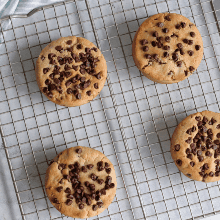 Freshly baked Copycat Otis Spunkmeyer Chocolate Chip Cookies in an airtight container, ready for storage, freezing, or reheating.