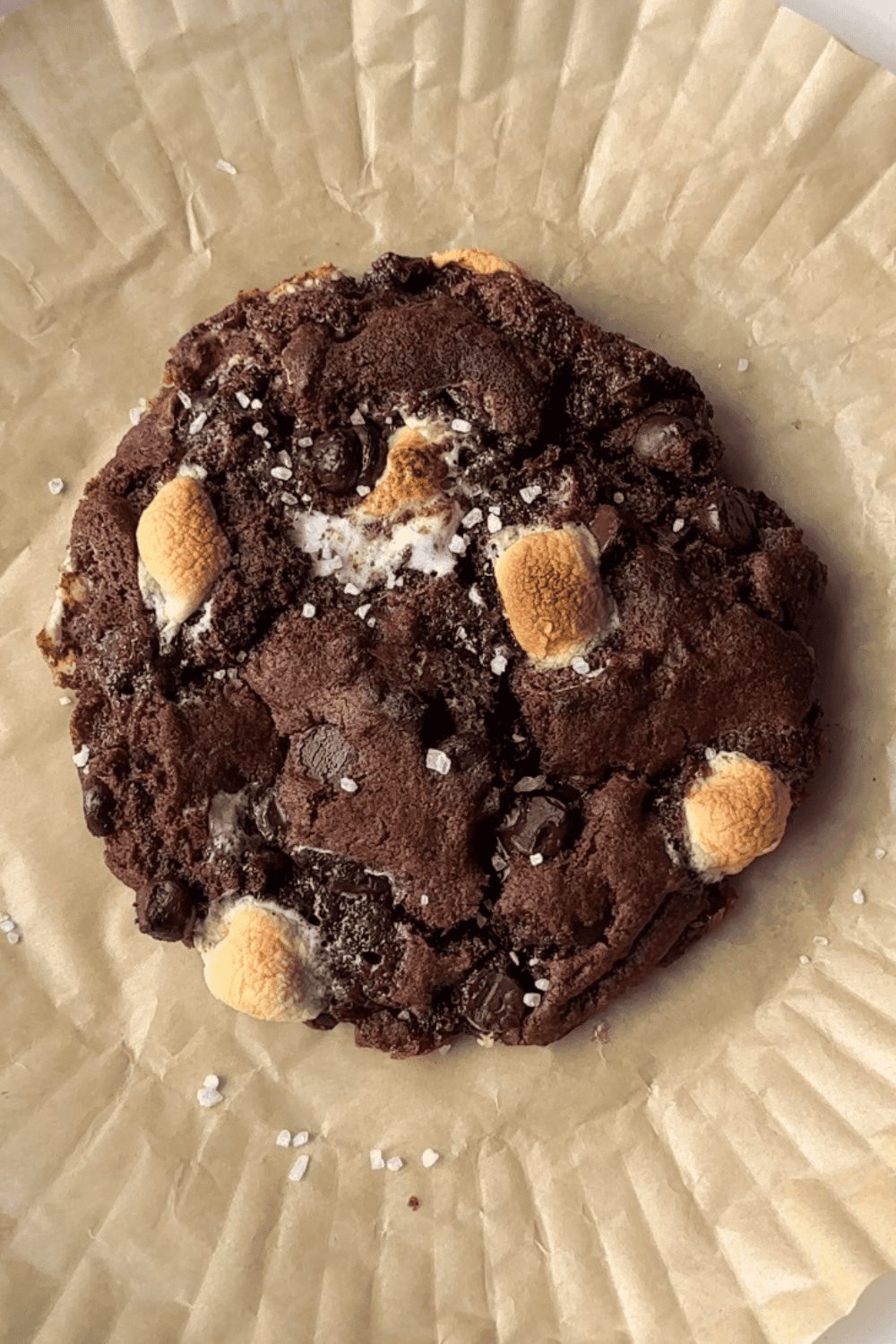 Air Fryer S’mores Cookies with melted chocolate, gooey marshmallows, and graham cracker pieces on a plate.