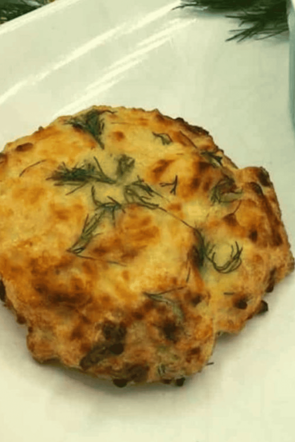 Golden-brown air fryer chicken fritters on a plate, crispy outside, tender inside, ready to serve.