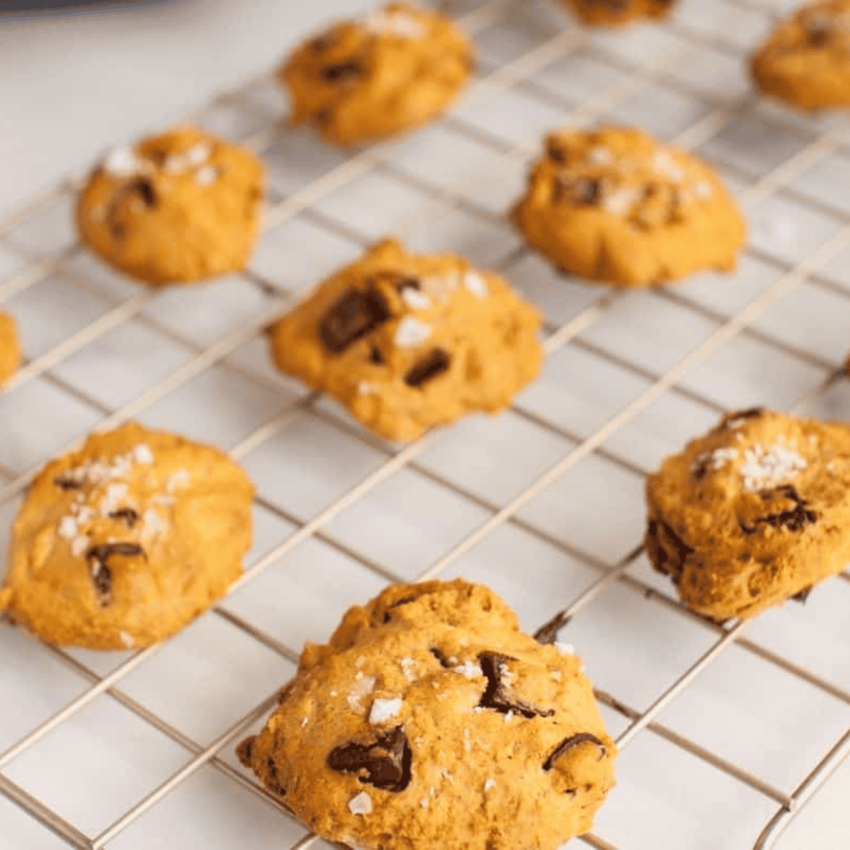 Golden-brown pumpkin cake mix cookies fresh from the air fryer, soft and spiced for a cozy treat.