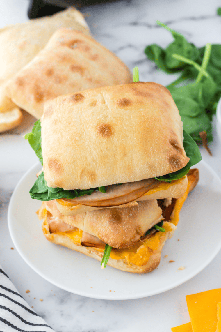 Easy Air Fryer Turkey And Cheese Sandwich Recipe (1)