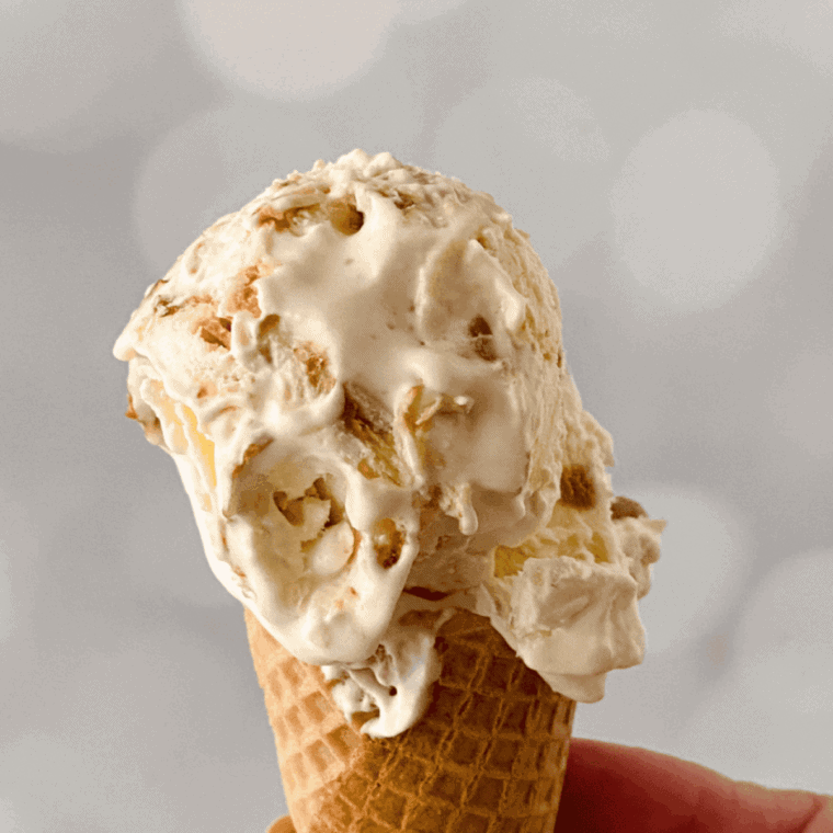Creamy Ninja Creami cookie butter ice cream served in a bowl with swirls of cookie butter