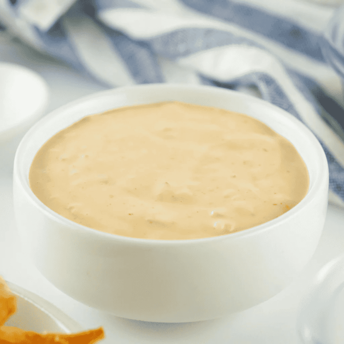 Homemade Shake Shack sauce served as burger spread with fries and sandwiches.