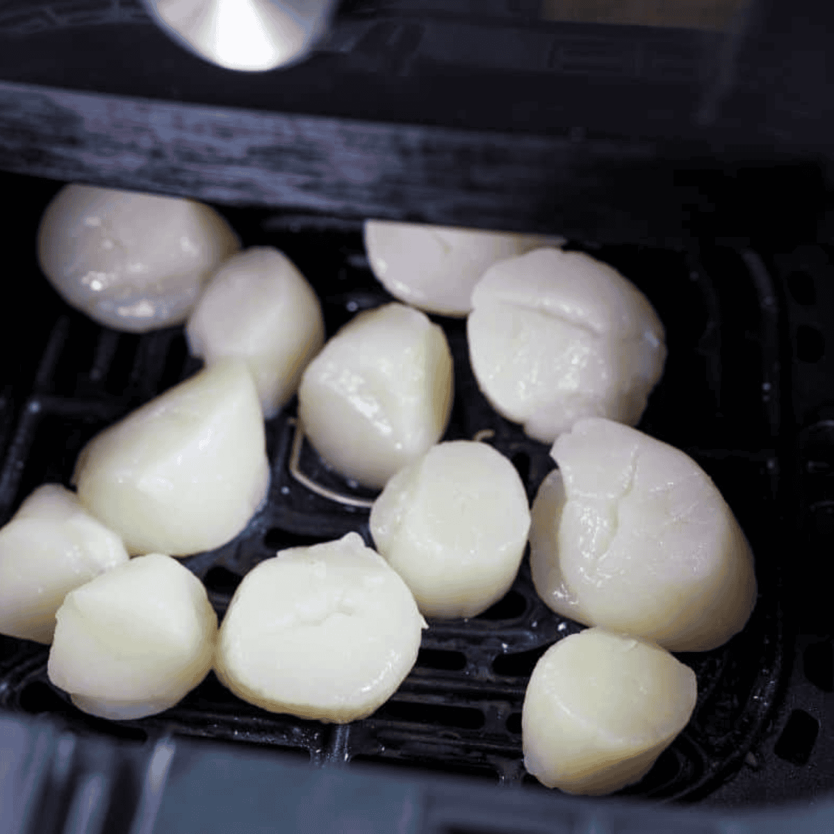 Placing scallops in a single layer in the air fryer basket