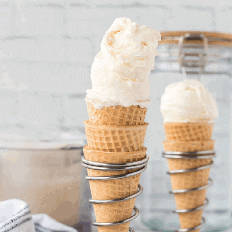 Ninja Creami Mexican Vanilla Ice Cream