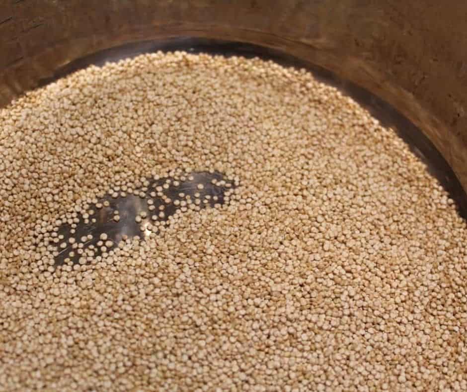 Instant Pot Quinoa