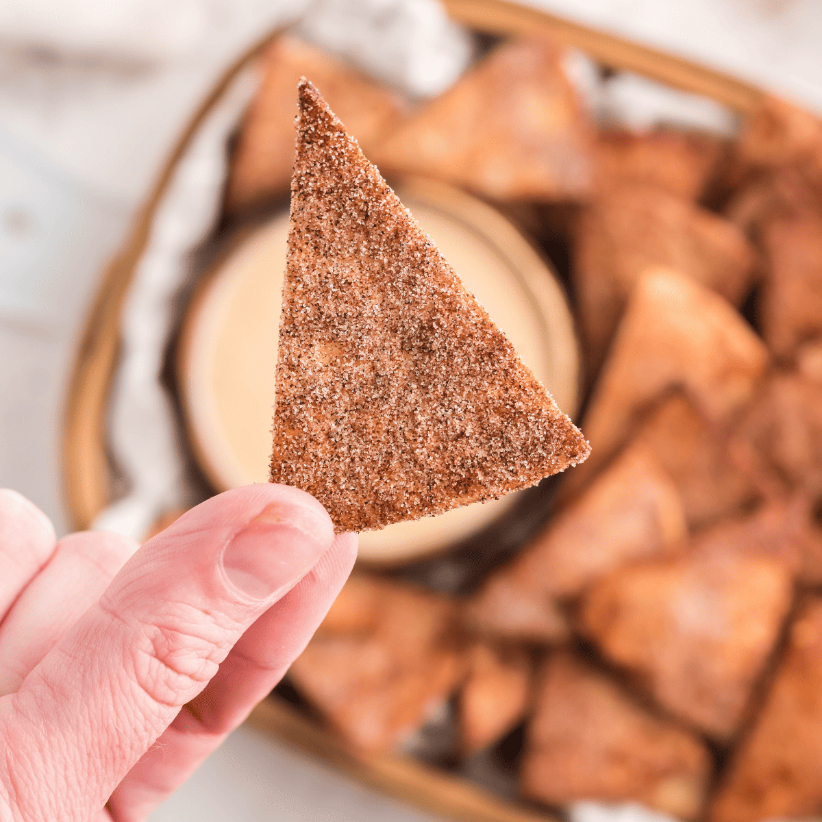 Air Fryer Cinnamon Sugar Tortilla Chips (11)
