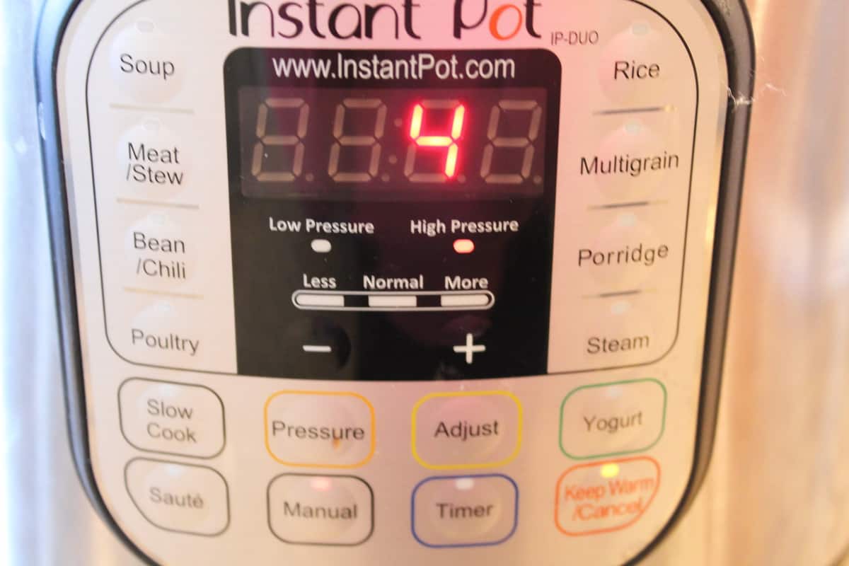 Instant Pot Spiced Milk Tea (Masala Chai)