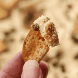 Crispy Easy Air Fryer Everything Bagel Chips seasoned with everything bagel seasoning.