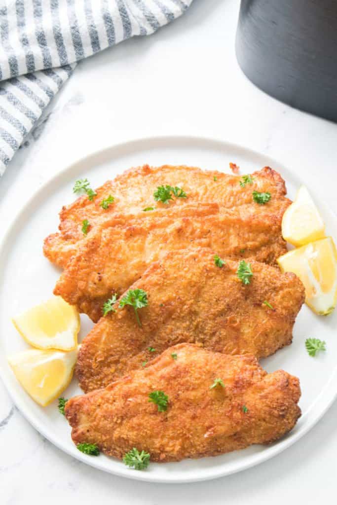 catfish air fryer