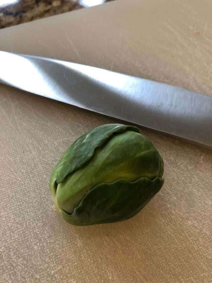 Brussel Sprouts