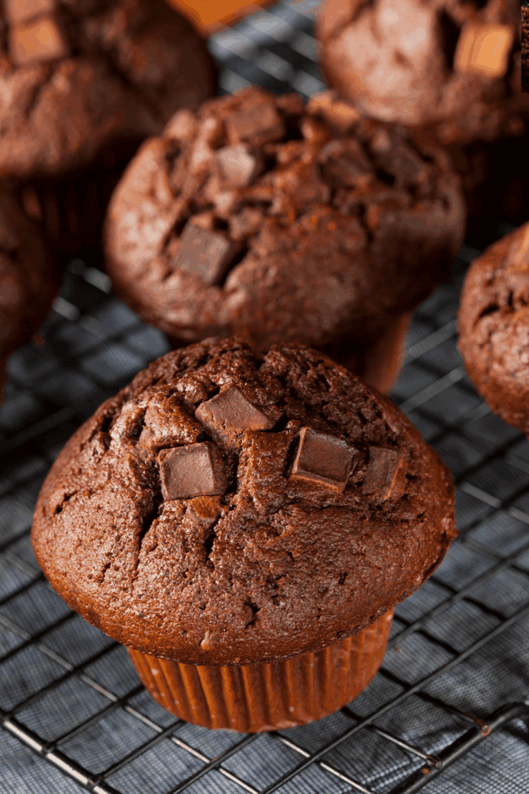 Copycat Costco double chocolate muffin, golden brown and loaded with chocolate chips, on a plate ready to serve.