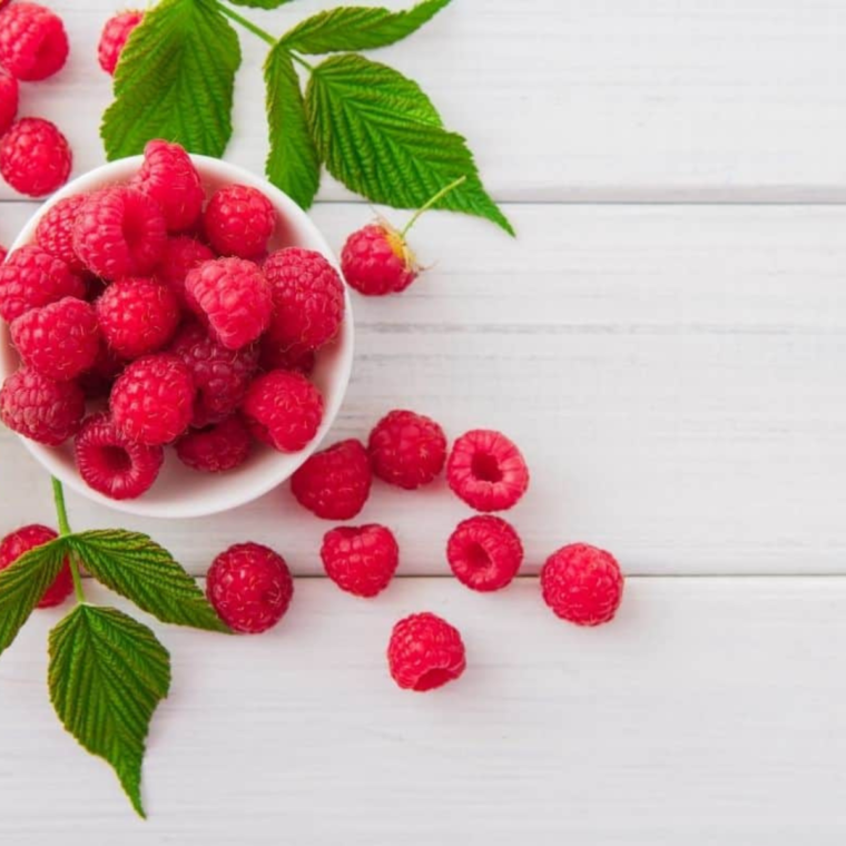 Ingredients For Air Fryer Raspberry Lemon Quick Bread