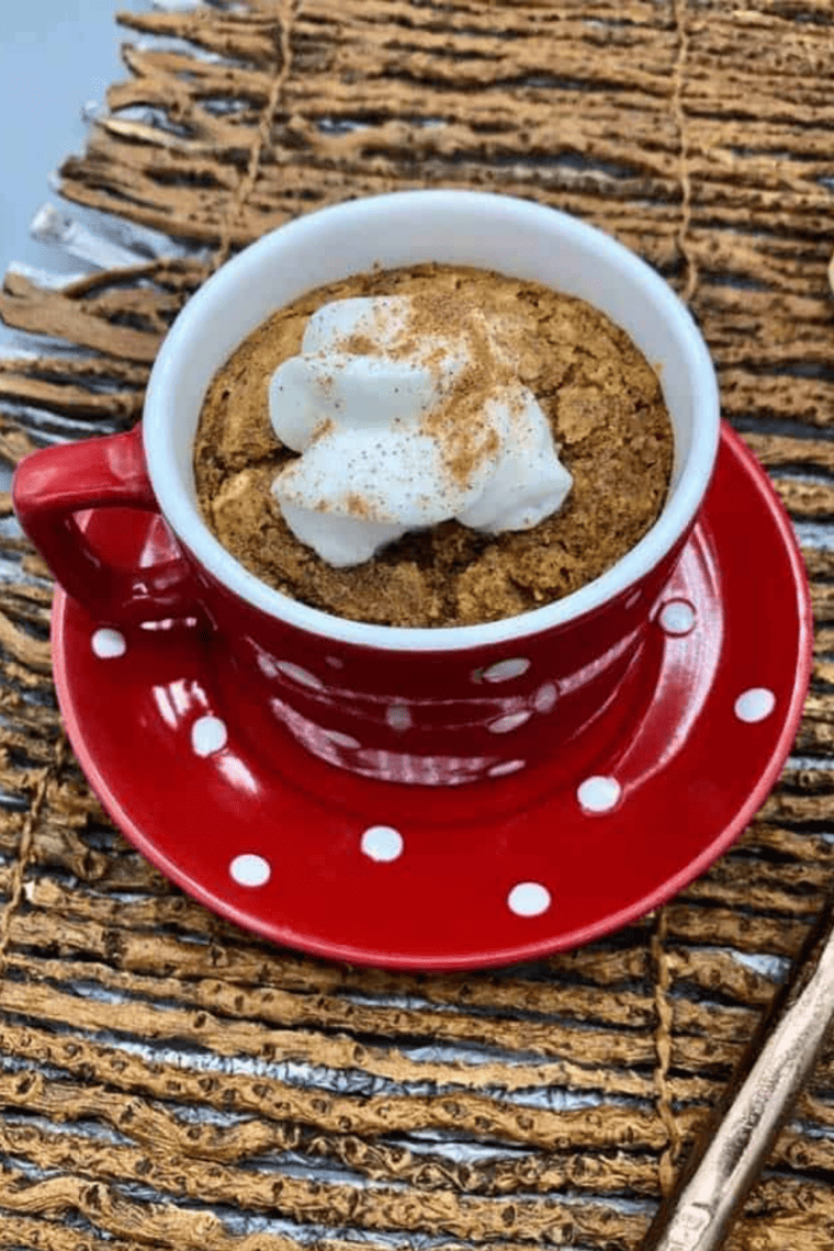 Air Fryer Pumpkin Mug Cake (8)