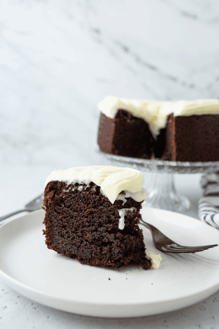 Fudgy one bowl chocolate cake with creamy chocolate frosting served on a white plate