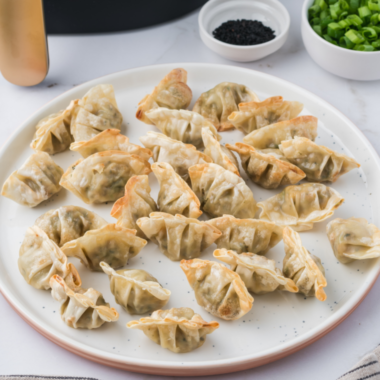 FROZEN POTSTICKERS IN AIR FRYER