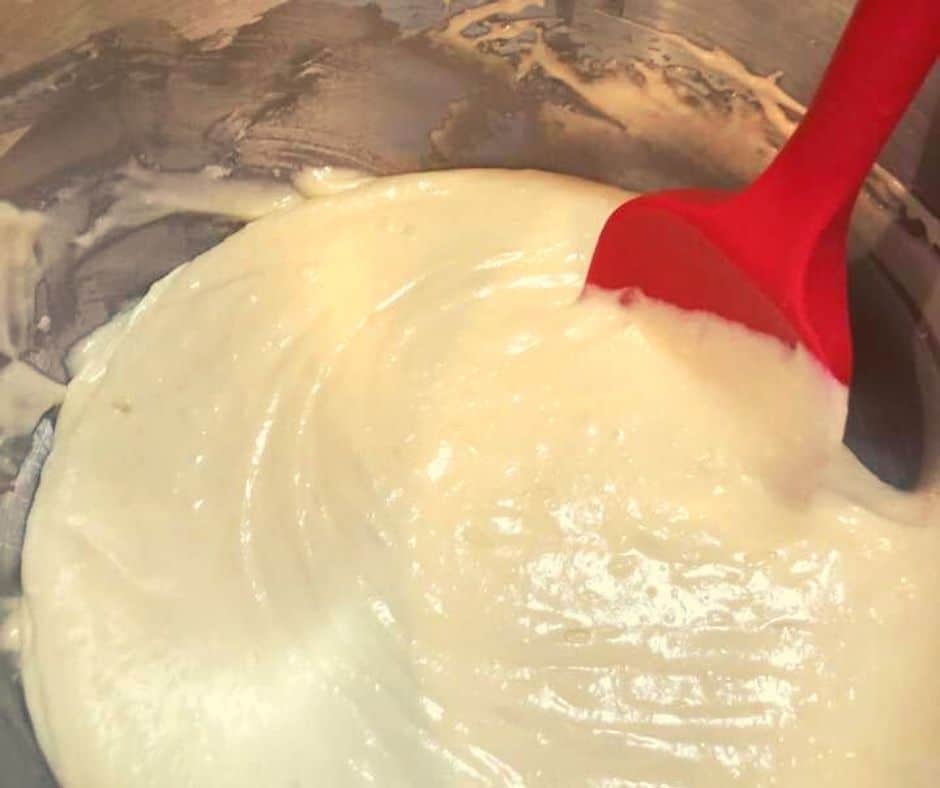 Vanilla Batter