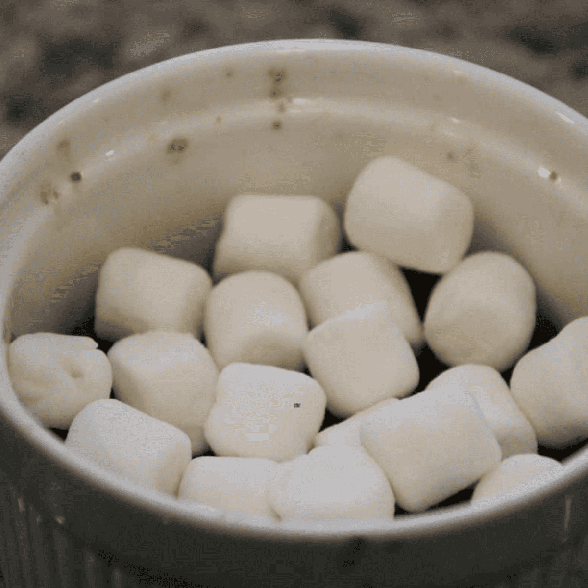 Air Fryer S’mores Mug Cake
