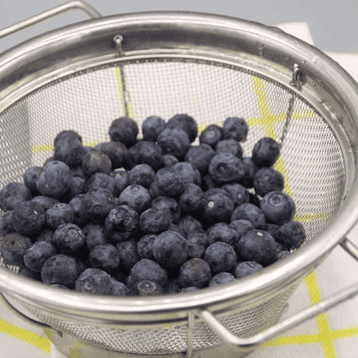 Air Fryer Dehydrated Blueberries