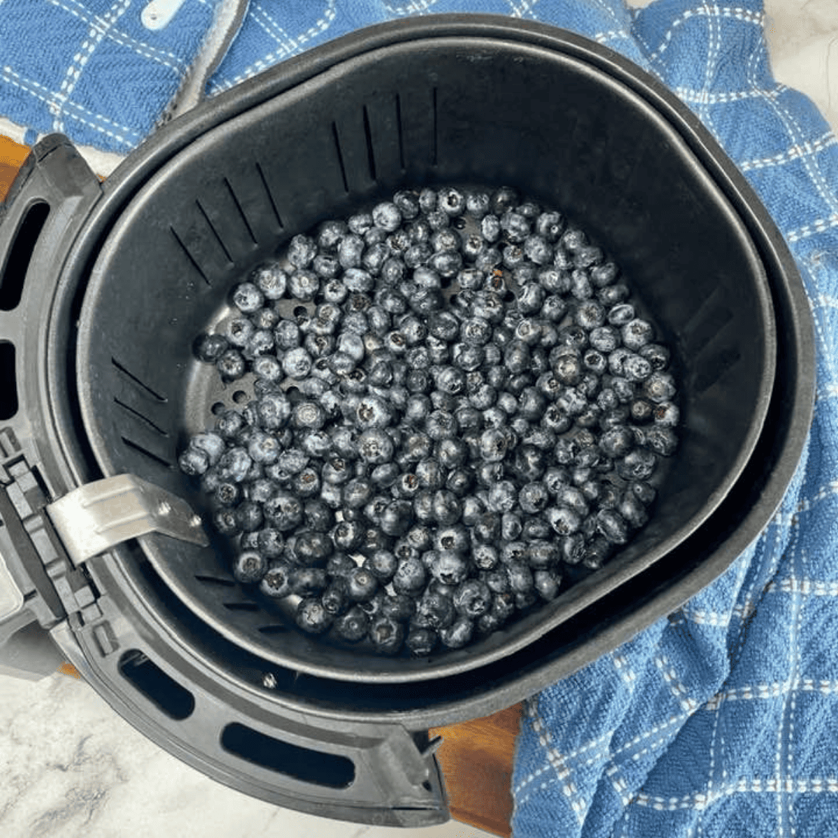 Air Fryer Dehydrated Blueberries