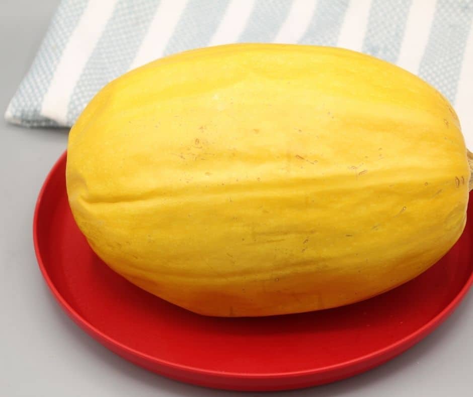Ninja Foodi Squash