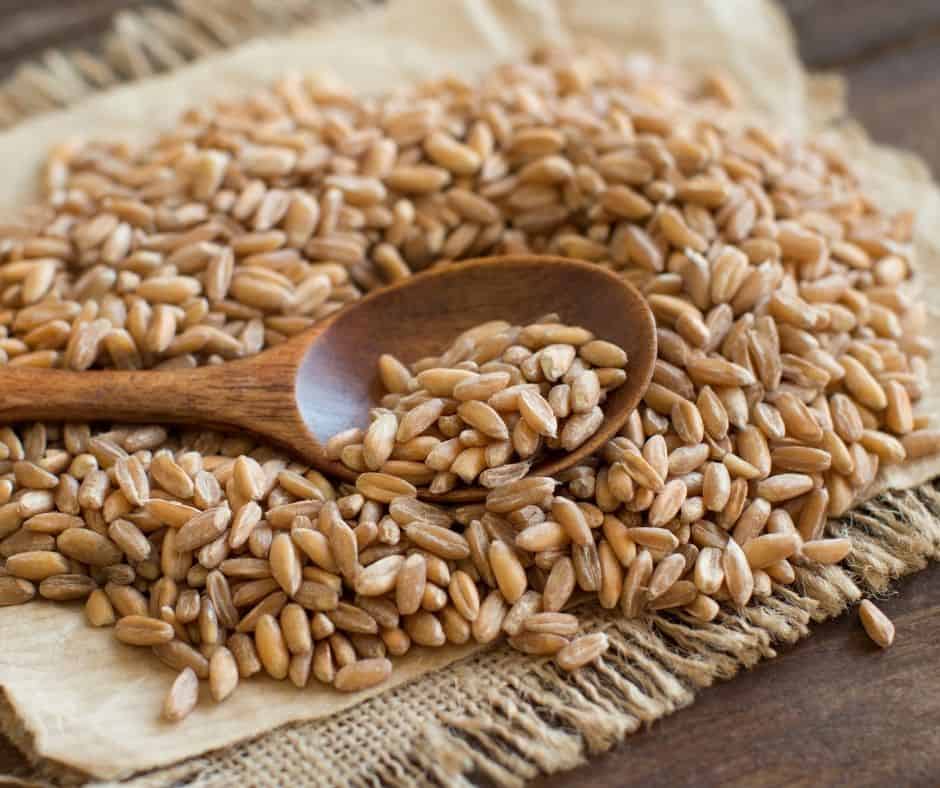 Ingredients Needed For Instant Pot Farro