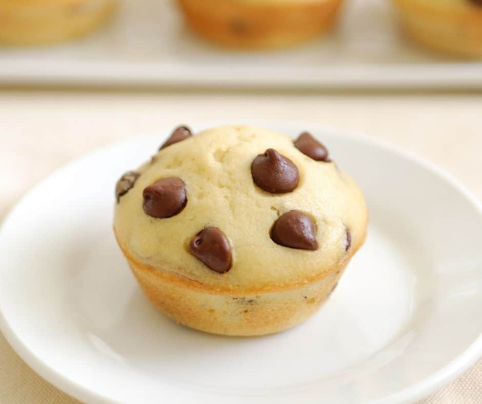 Air Fryer Betty Crocker Chocolate Chip Muffins