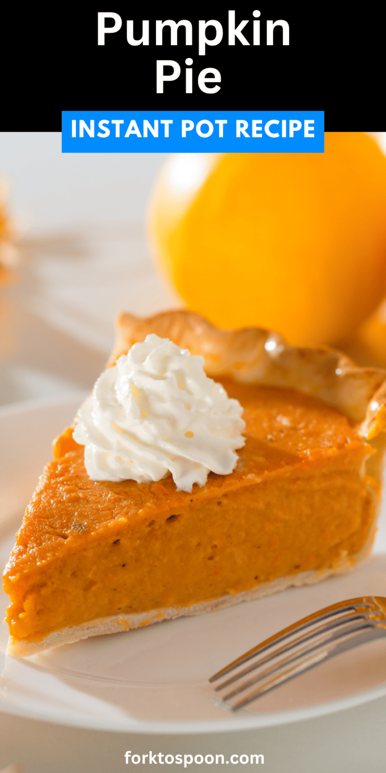 Instant Pot Pumpkin Pie