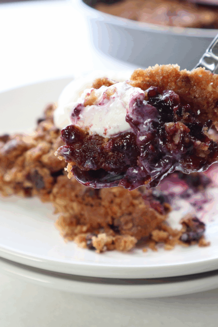 Close-up of air fryer blueberry cobbler showing the tender golden topping over juicy blueberries