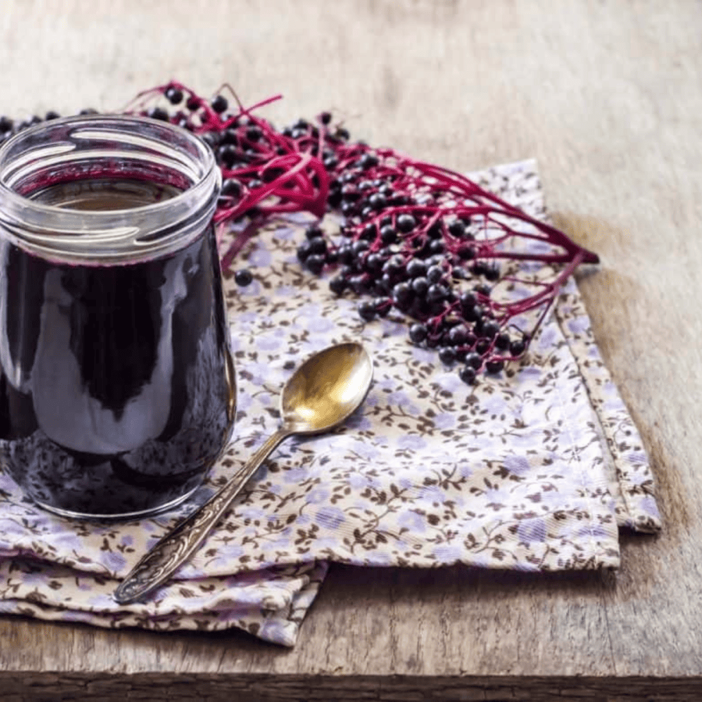 Instant Pot Elderberry Syrup