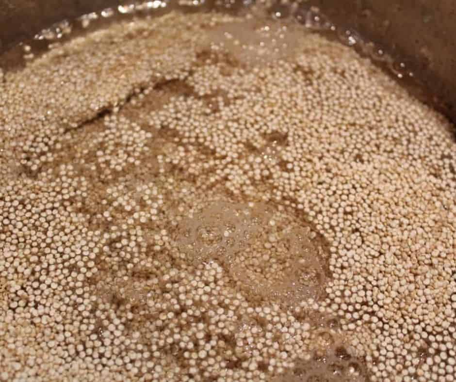 Instant Pot Quinoa