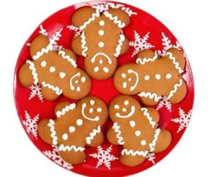 Air Fryer Gingerbread Cookies