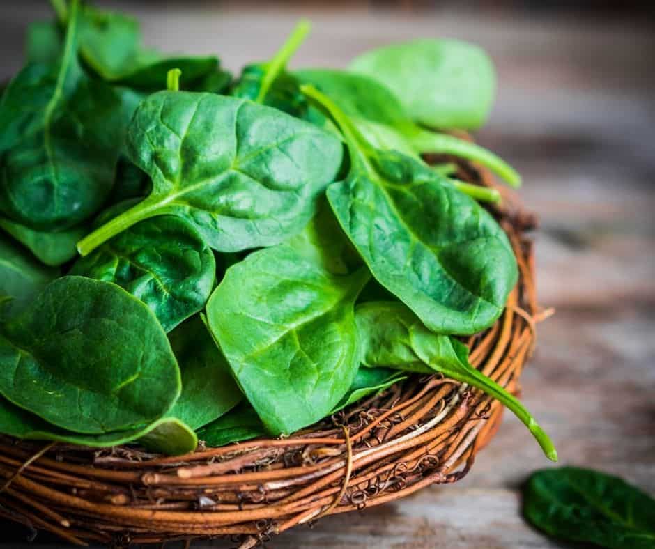Ingredients Needed For Air Fryer Spinach and Cheese Empanadas
