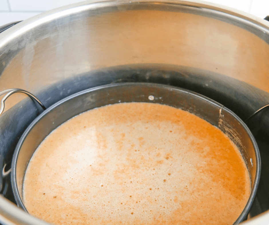Instant Pot Sweet Potato Pudding