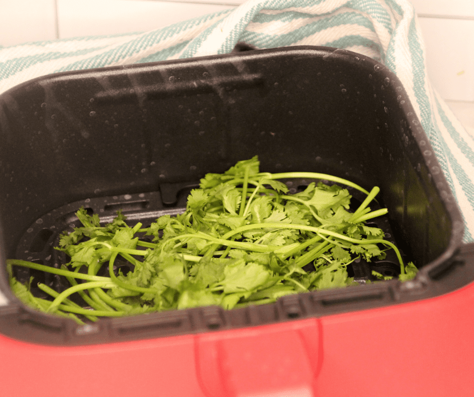 Ingredients needed for Air Fryer Dehydrating Cilantro on kitchen table.