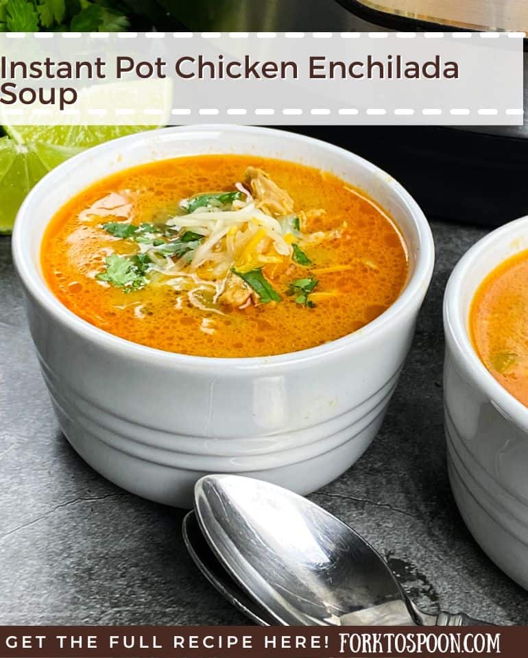 instant pot chicken enchilada soup
