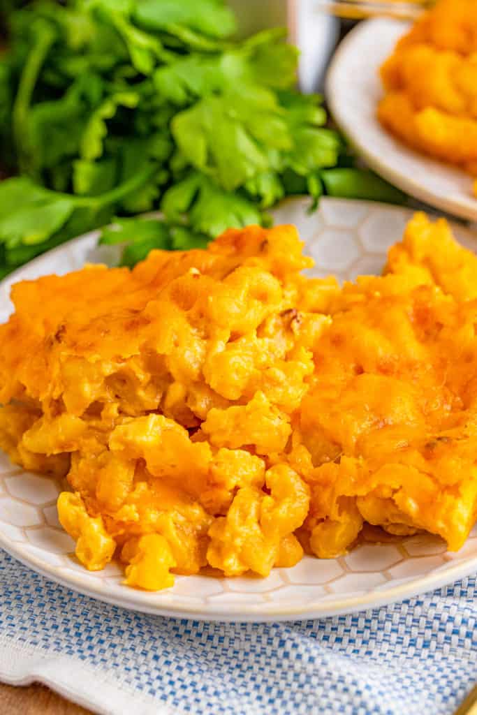 Ingredients Needed For Instant Pot Cracker Barrel Mac and Cheese in A bowl