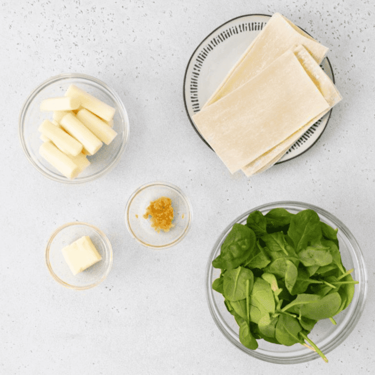 Ingredients Needed For Air Fryer Spinach Mozzarella Sticks