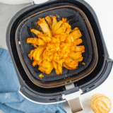 Air Fryer Copycat Outback Bloomin’ Onion (+ Sauce!)