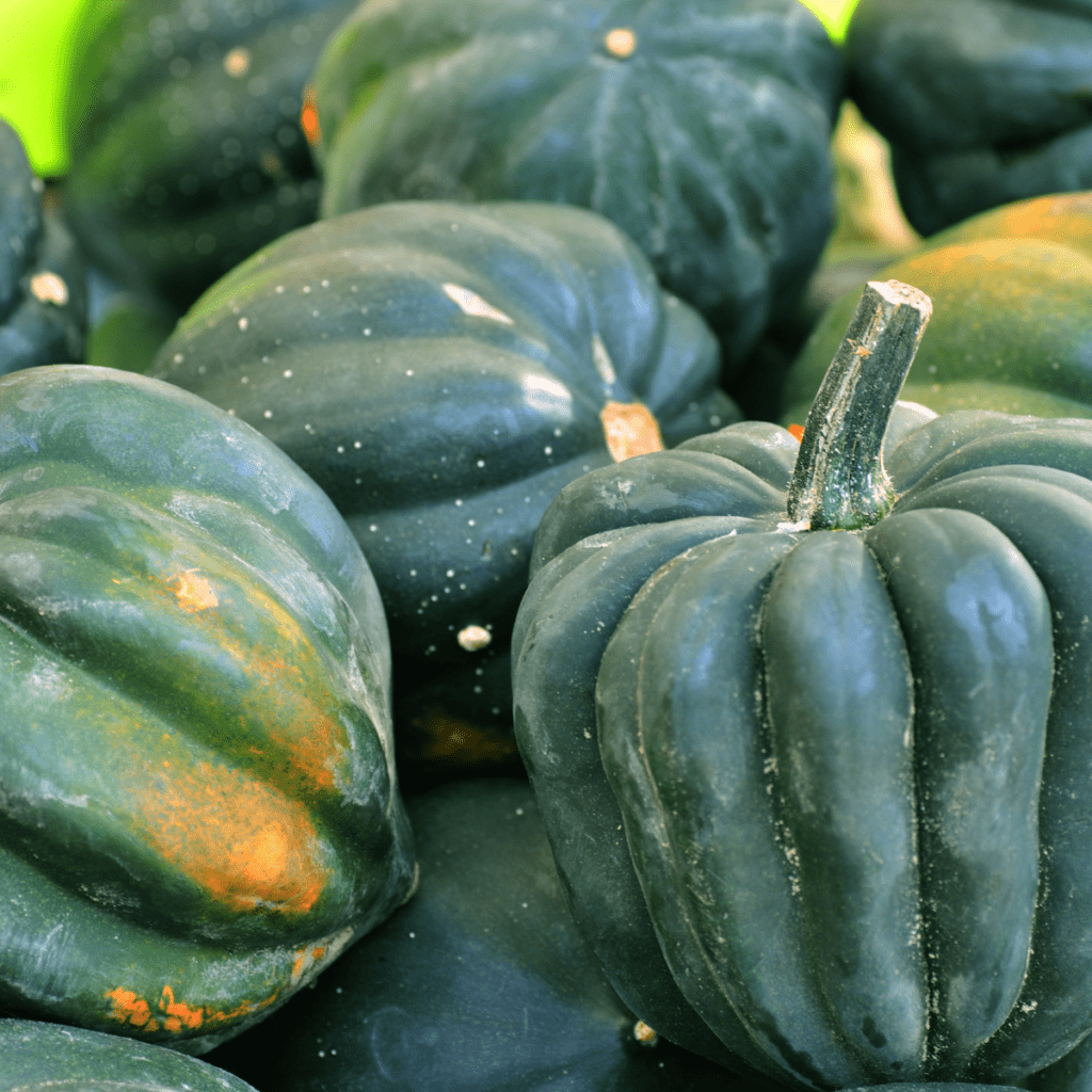 Ingredients Needed For Instant Pot Acorn Squash