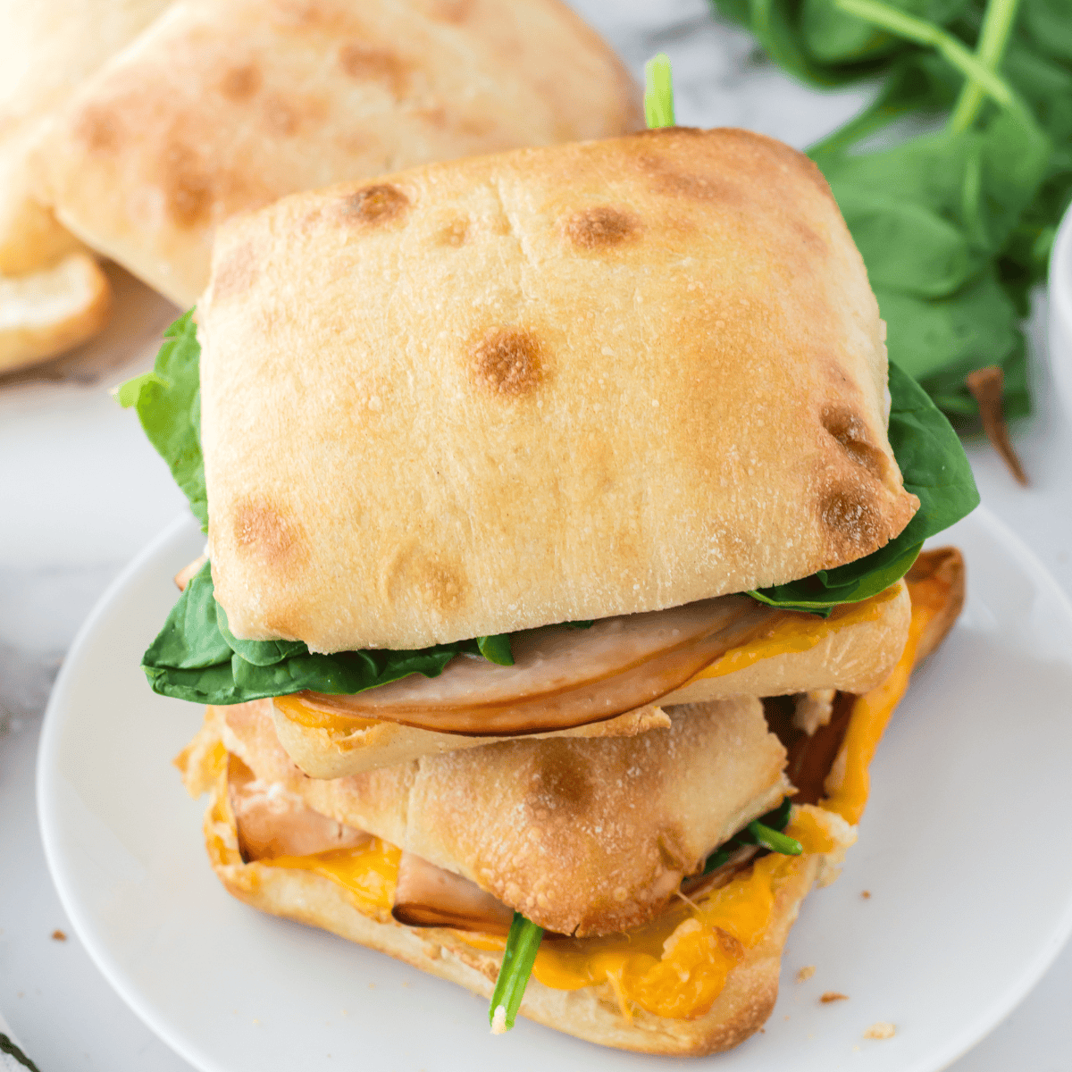 Air Fryer Turkey Sandwich