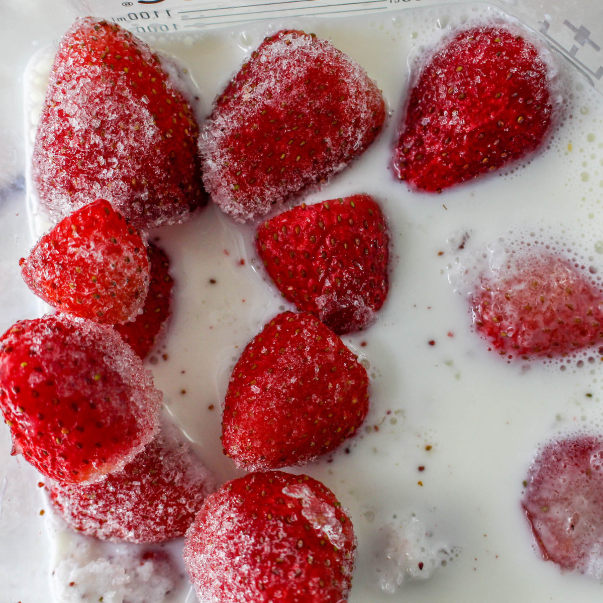 Add strawberries, protein powder, and milk to the Ninja Creami Pint Container, mix well, cover with lid, and freeze for 24 hours.