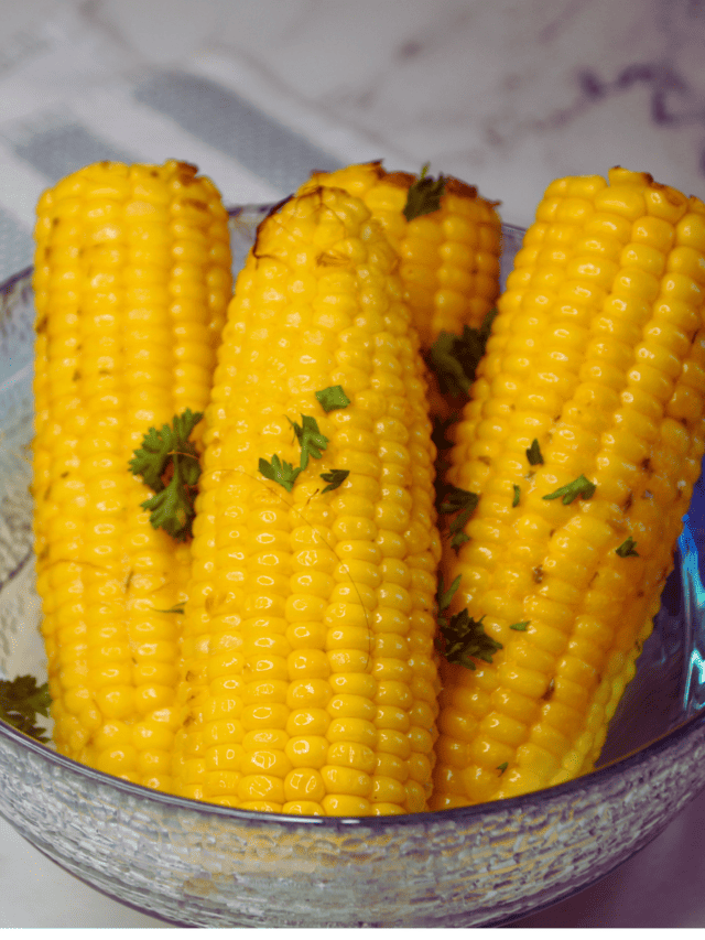 Are you looking for an easy and delicious summer side dish that will impress you? Look no further than this Ninja Foodi Grill Corn On The Cob recipe! This savory meal should be your go-to when needing a quick, fuss-free side.