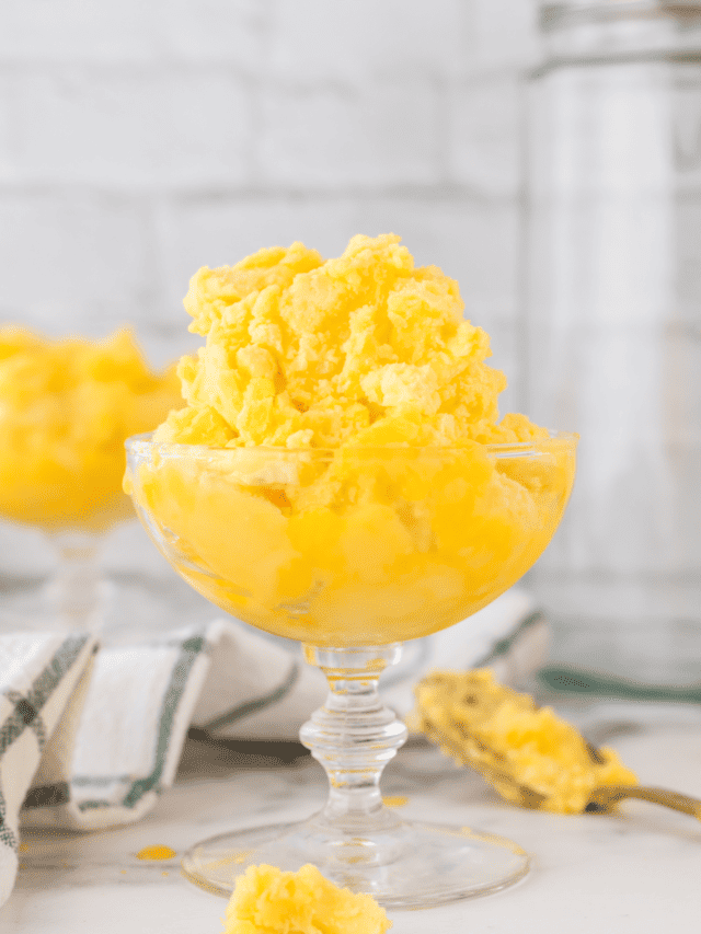 Ninja Creami Mango Sorbet
