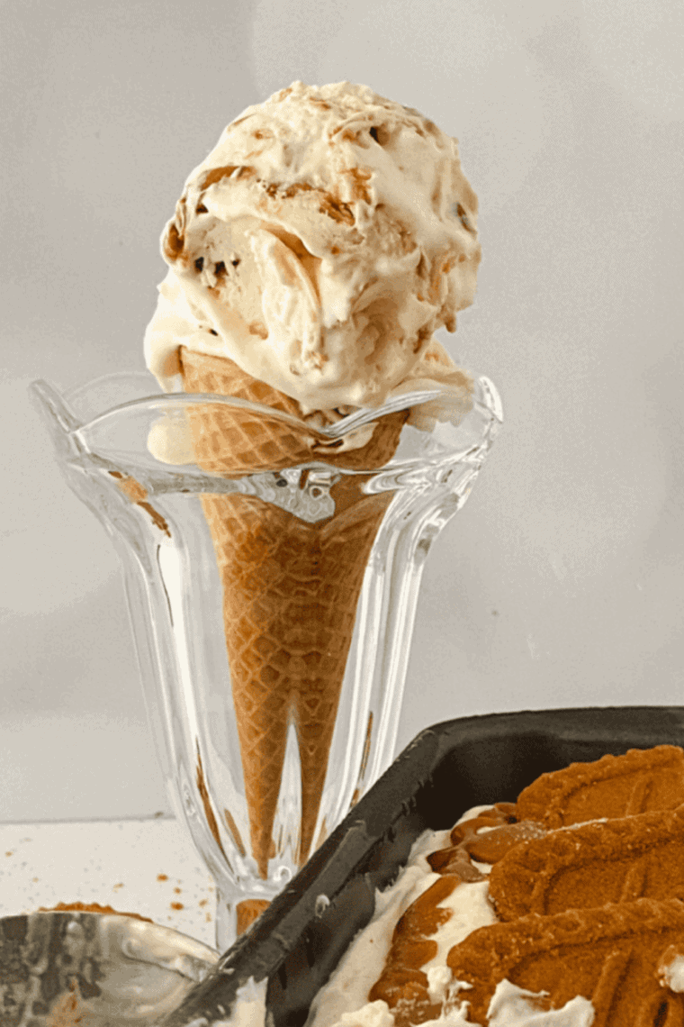 Smooth, creamy Ninja Creami cookie butter ice cream served in a bowl with swirls of cookie butter