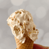 Creamy Ninja Creami cookie butter ice cream served in a bowl with swirls of cookie butter